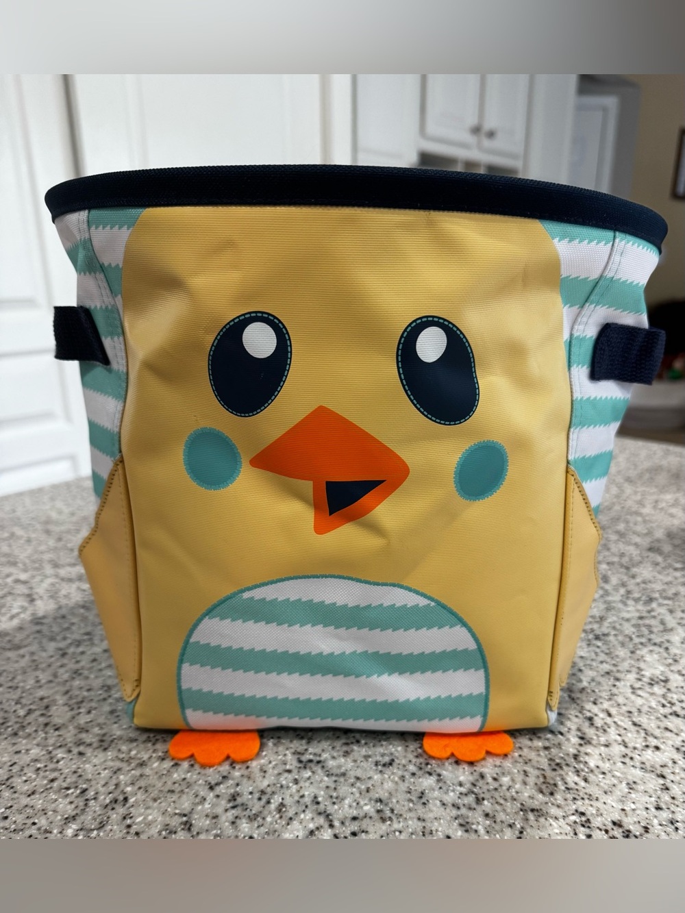 Thirty-One Chick basket